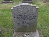 image of grave number 247323